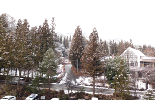c0227407_20204266.jpg