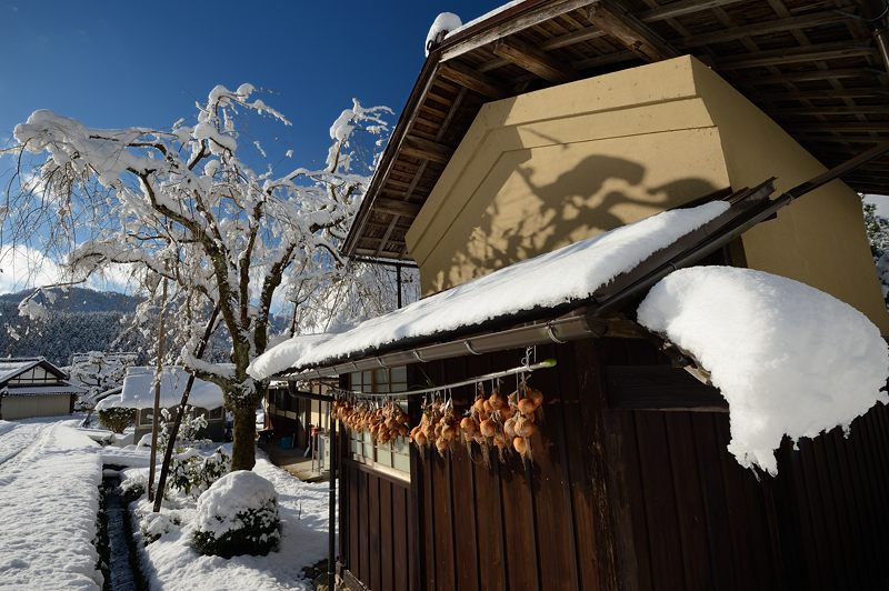 初雪撮り！美山茅葺きの里雪景色　其の二_f0032011_15525321.jpg