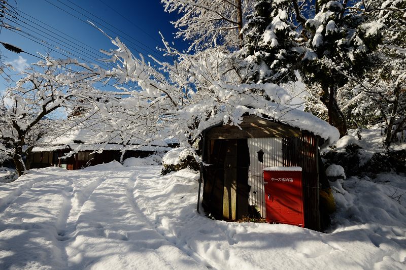 初雪撮り！美山茅葺きの里雪景色　其の二_f0032011_15545320.jpg