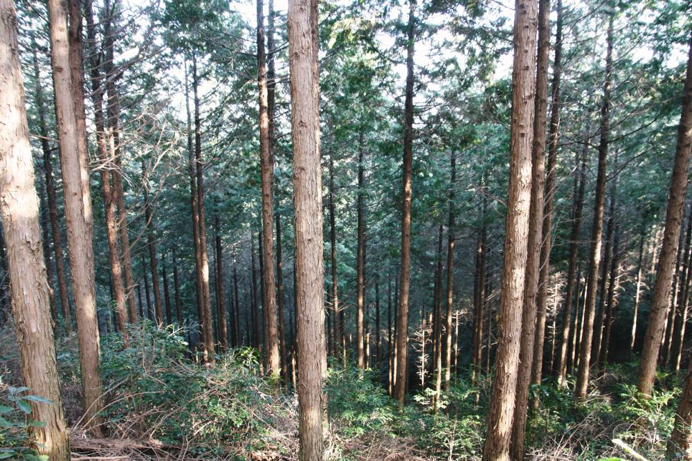 f0212511_11413278.jpg