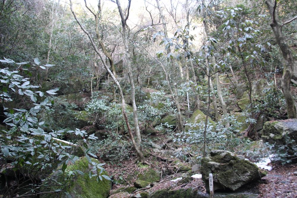 f0212511_11415150.jpg