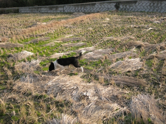 f0246611_12445677.jpg