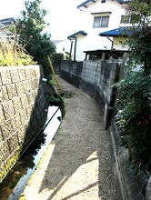 e0125014_1147484.jpg
