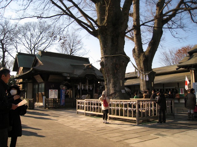 e0117318_1103633.jpg