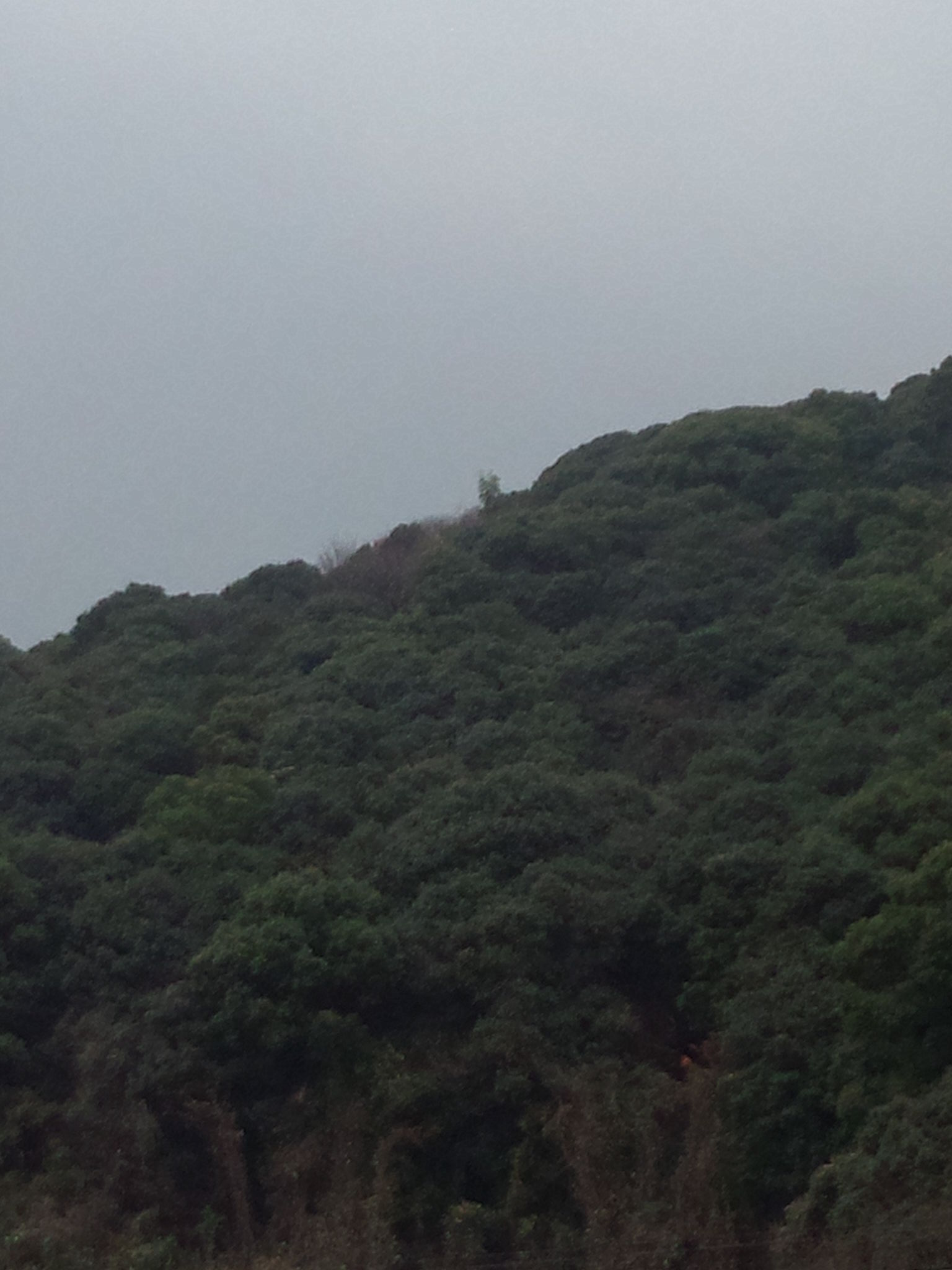d0150722_20101999.jpg