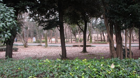 e0202031_1957686.jpg