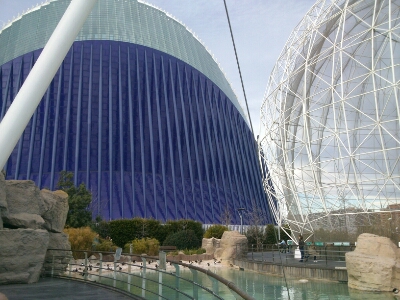 e0120938_2335087.jpg