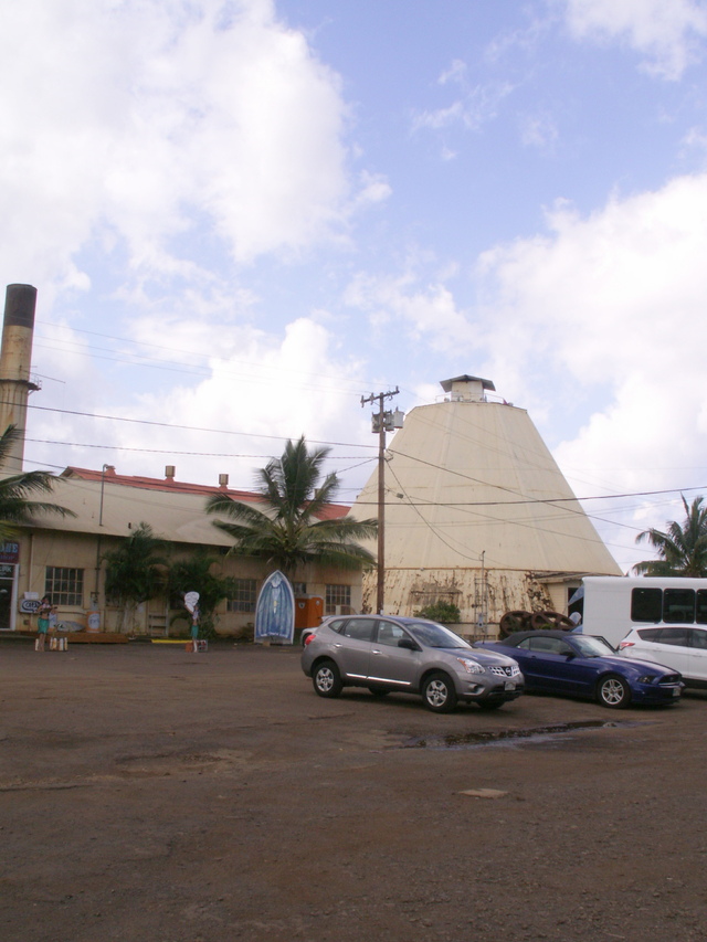 b0139239_150733.jpg