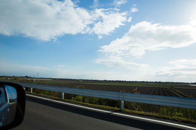 d0139939_19583410.jpg