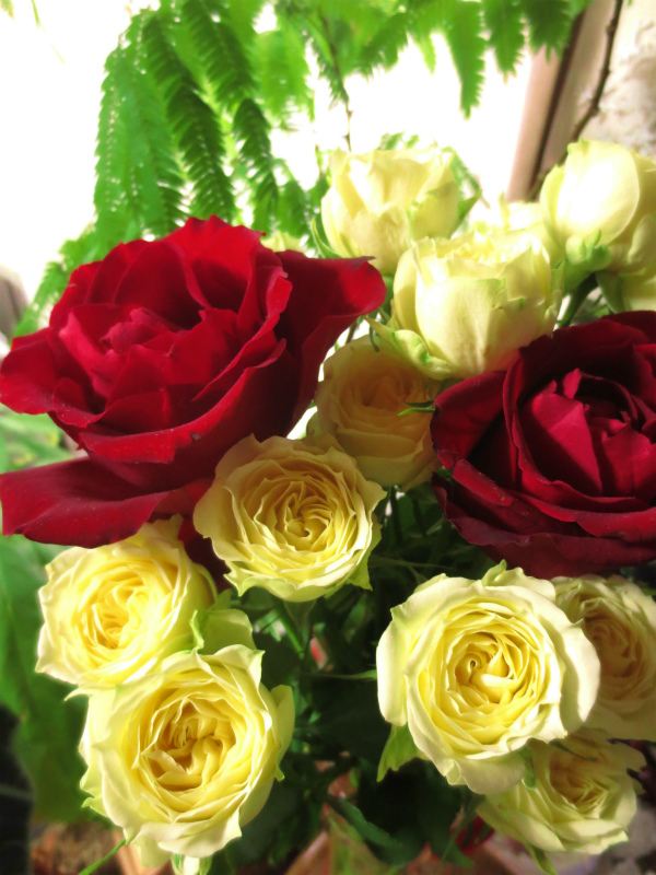 b0097747_1694649.jpg