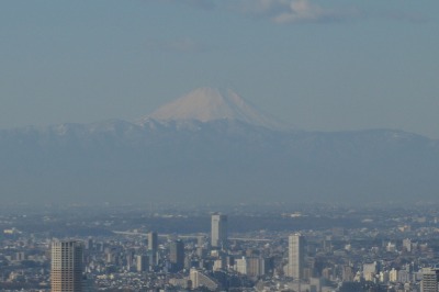 東京タワーと増上寺　その１_b0296148_1092683.jpg