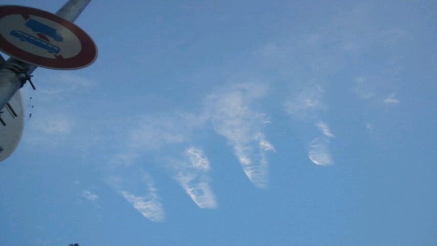 今日も散歩。空には飛行機雲ー_b0185359_170452.jpg