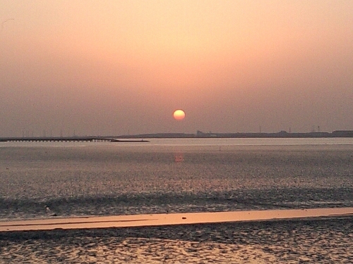 d0227362_23285349.jpg