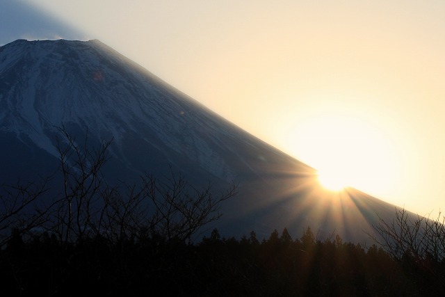 初日の出と皇居で一般参賀_a0148866_11171451.jpg