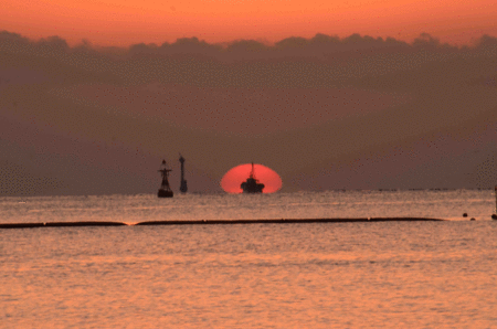 d0133382_20465216.gif