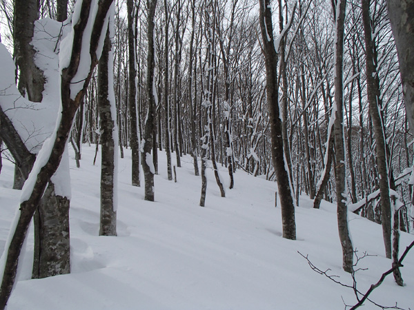 a0043193_15324443.jpg