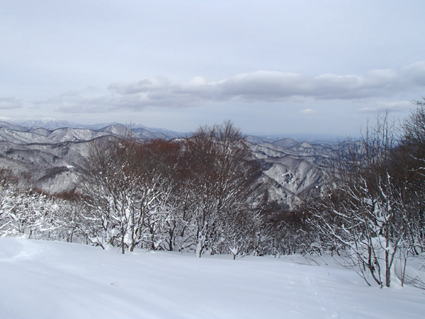a0043193_15331389.jpg