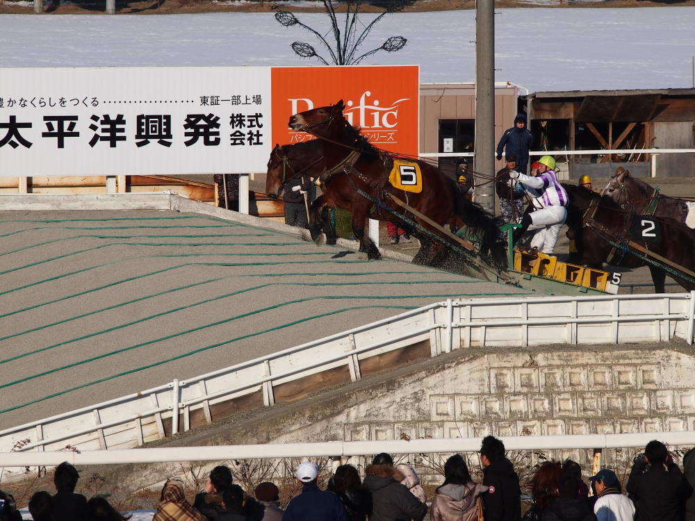 「十勝神社」に初詣ののち、午年の「ばんえい競馬」帯広記念_f0276498_2353412.jpg