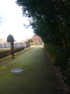 c0024502_23452218.jpg