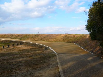 c0024502_23454455.jpg