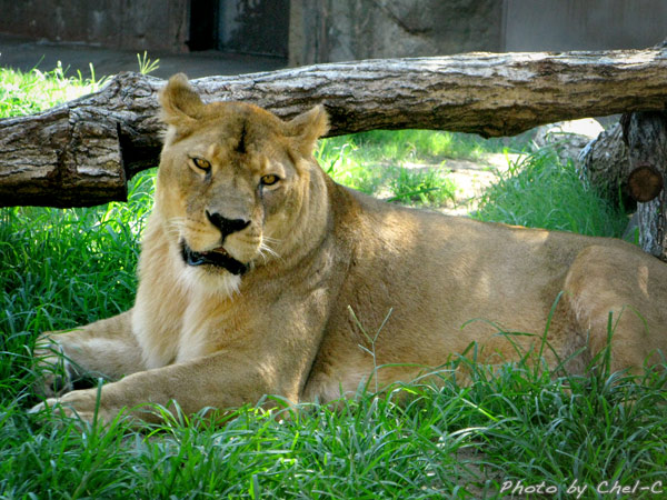 a0154706_1032492.jpg