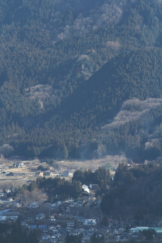 2日続けて安谷川橋梁を俯瞰した - 2014年新春・秩父 - _b0190710_15144647.jpg
