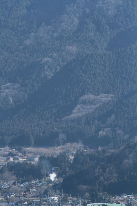 2日続けて安谷川橋梁を俯瞰した - 2014年新春・秩父 - _b0190710_15161490.jpg