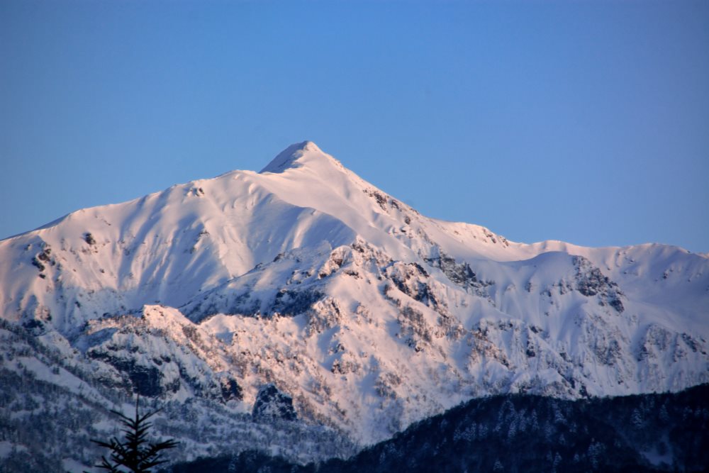 e0217511_9133698.jpg