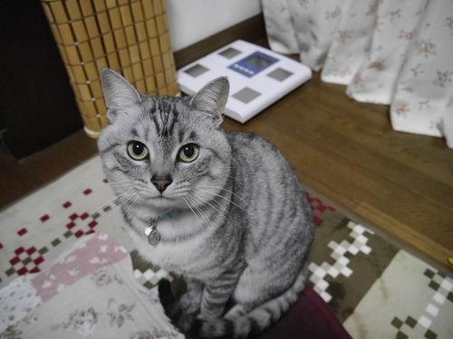 f0218911_2314589.jpg