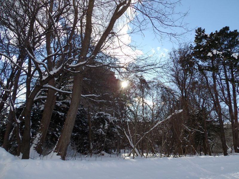 1月4日 晴れ後雪後晴れ後大雪_c0025115_2343728.jpg
