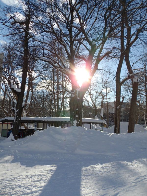 1月4日 晴れ後雪後晴れ後大雪_c0025115_235432.jpg