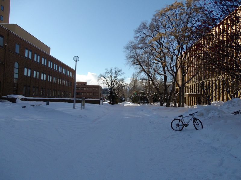 1月4日　晴れ後雪後晴れ後大雪_c0025115_2354654.jpg