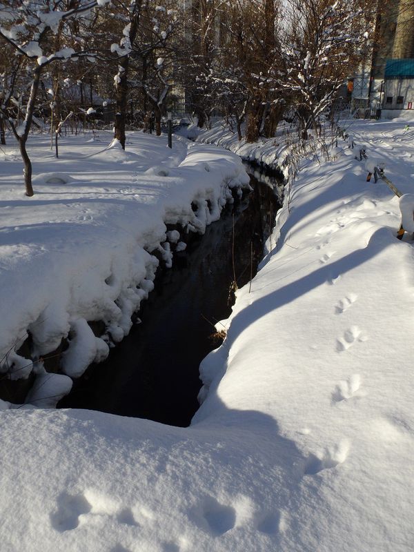 1月4日 晴れ後雪後晴れ後大雪_c0025115_236113.jpg
