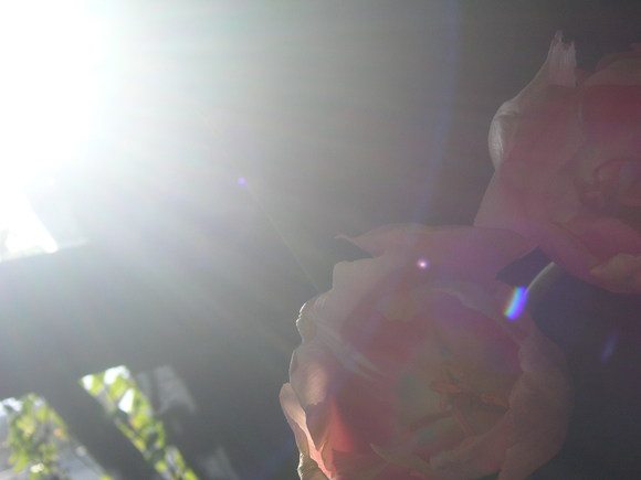 e0331420_12143165.jpg