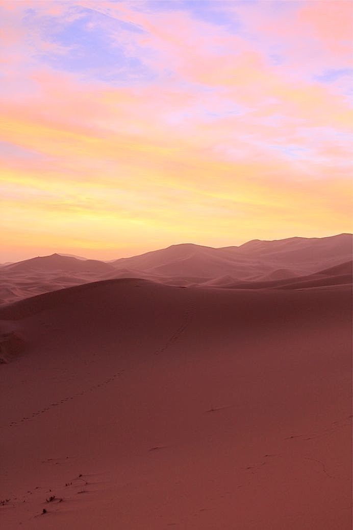 b0171423_545683.jpg