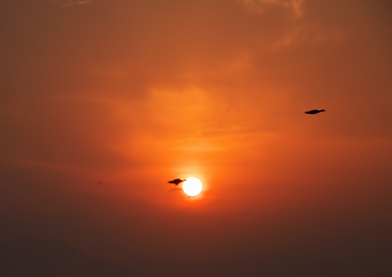 朝の江津湖夕べの塩屋_c0132230_2193844.jpg