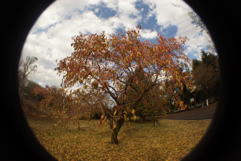 Beroflex SuperWide FishEye 12mmF8_c0109833_18194158.jpg