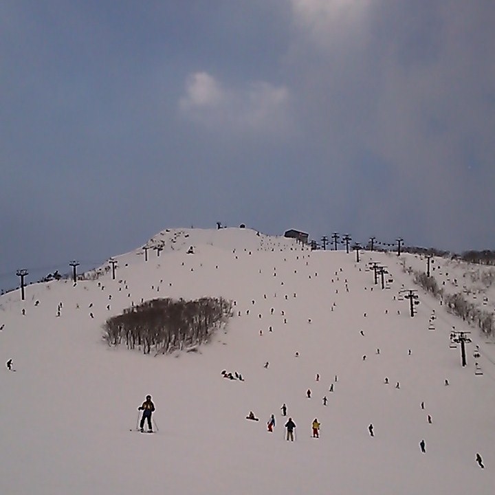 番外編(年越し)_c0119937_15164.jpg