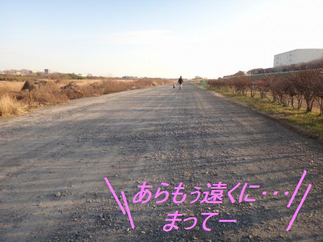 ドッグランへドライブ&あぁ定休日☆どうする?_e0195743_1373828.jpg