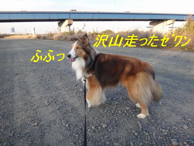ドッグランへドライブ&あぁ定休日☆どうする?_e0195743_139232.jpg