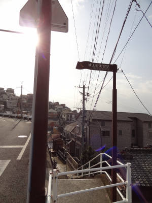 e0033751_160486.jpg