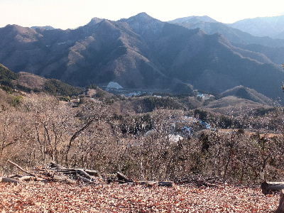 e0088260_21421553.jpg