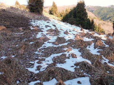 e0088260_2142211.jpg