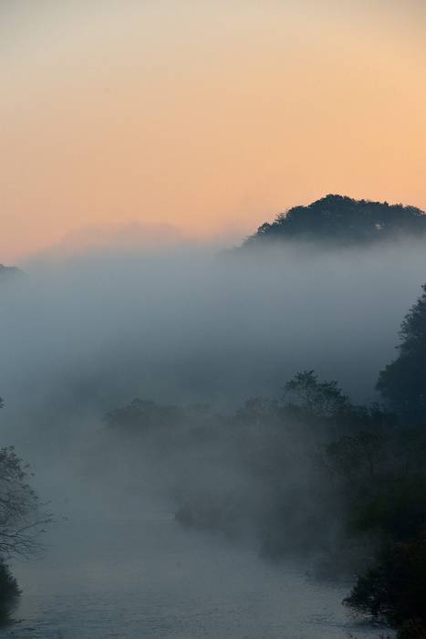 川霧_b0223668_7242654.jpg