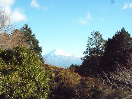 高草山・浜石岳から富士山を見る_c0273271_16131768.jpg