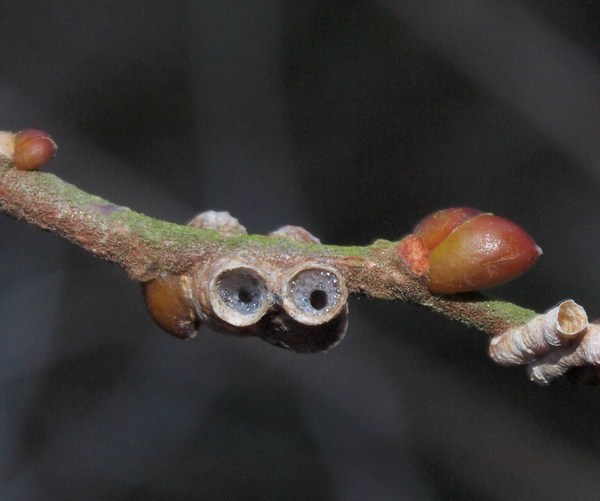 b0135573_22132965.jpg