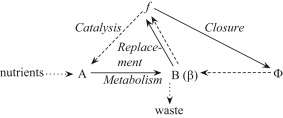 代謝閉包(Metabolic closure)とは何か： 生命の理解のためのさまざまな理論(1)_d0194774_18351446.jpg