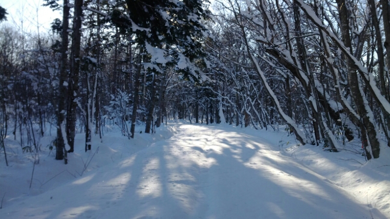 野幌森林公園_f0130376_13263390.jpg