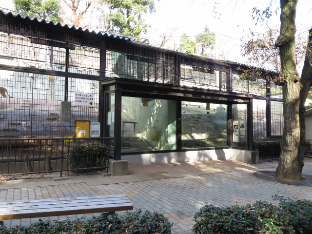 ２０１３年１２月　福岡市動物公園　その３_a0052986_9201260.jpg