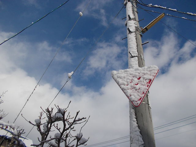 久々の除雪なり_a0007388_11572096.jpg